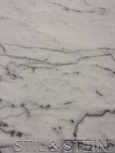 Statuario Venato